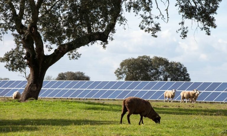 SolarPower Europe CEO Walburga Hemetsberger speaks to GES Magazine
